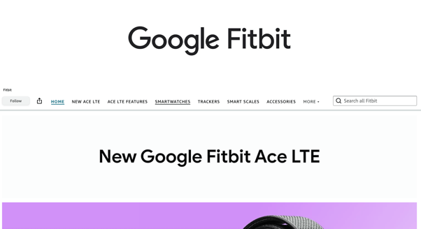 Google fitbit store