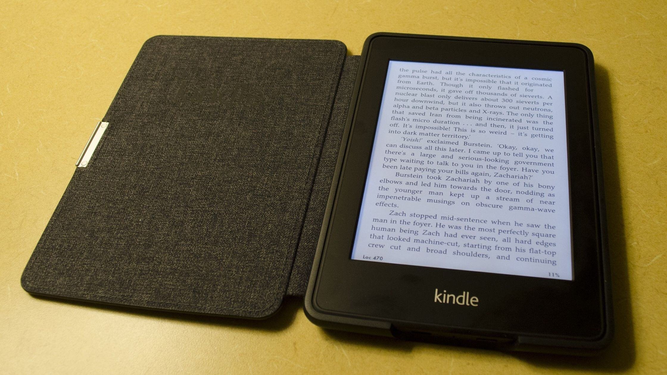 An image of an ebook on Kindle