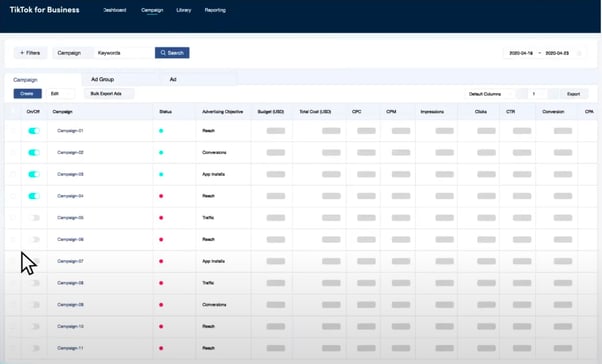 TikTok Campaign page