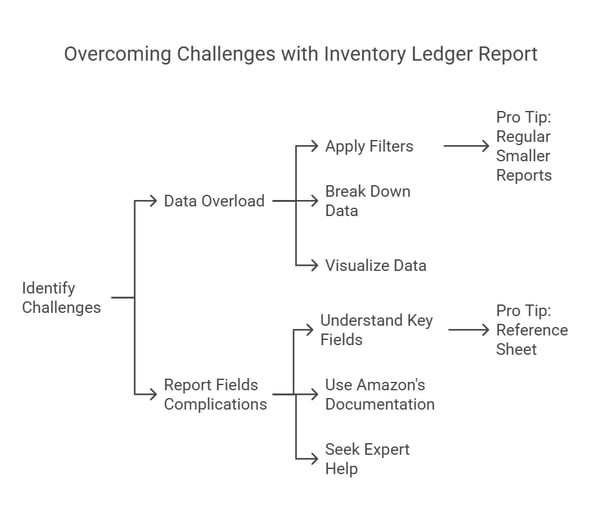 Visual Representation of Inventory ledger report challenges